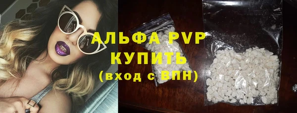 ешки Корсаков