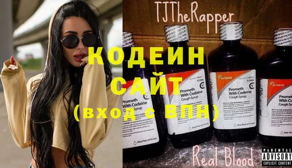ешки Корсаков