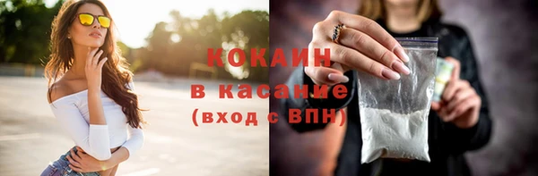 ешки Корсаков