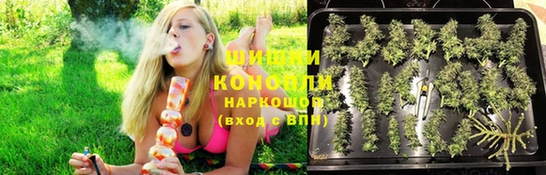 СК Коряжма