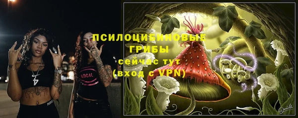 ешки Корсаков
