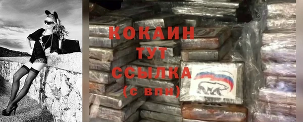 СК Коряжма