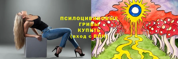 СК Коряжма