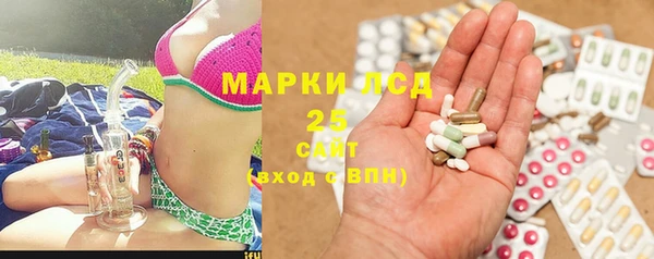 ешки Корсаков
