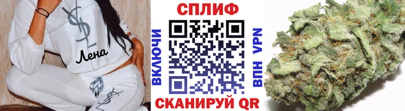 Купить закладки  Болохово  Бошки Шишки ГИДРОПОН 